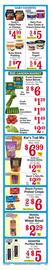 Discount Drug Mart Weekly Ad Page 3