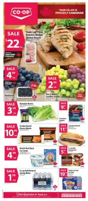 Co-op flyer