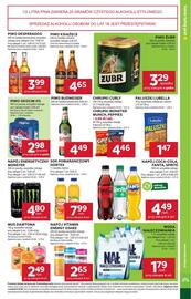 Stokrotka Market gazetka tydzień 30 Strona 19