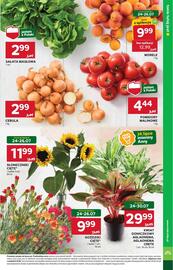 Stokrotka Market gazetka tydzień 30 Strona 7