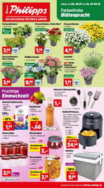 Thomas Philipps Flugblatt woche 31 Seite 1