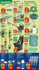 Thomas Philipps Flugblatt woche 31 Seite 2