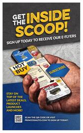 Princess Auto flyer week 30 Page 3