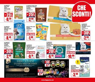 Volantino Il Gigante Pagina 35