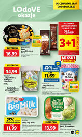 Lidl gazetka Strona 37