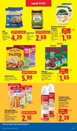Catalogue Lidl semaine 31 page 17