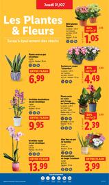 Catalogue Lidl semaine 31 page 29