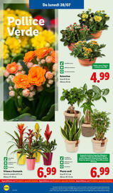 Volantino Lidl settimana 31 Pagina 32