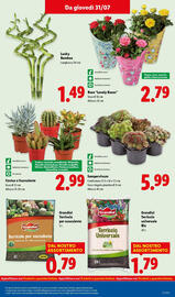 Volantino Lidl settimana 31 Pagina 33