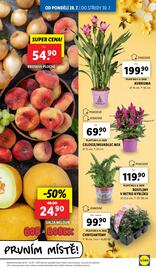 Lidl leták Strana 9