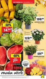Lidl leták Strana 9