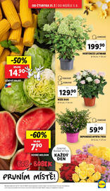 Lidl leták Strana 9