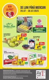 Catalog Mega Image săptămâna 30 Pagină 24