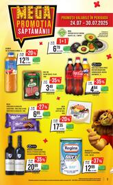 Catalog Mega Image săptămâna 30 Pagină 3