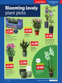 Lidl leaflet week 31 Page 19