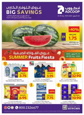 Abu Dhabi Coop catalogue