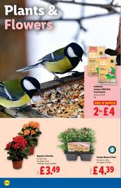 Lidl leaflet week 31 Page 22
