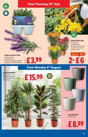 Lidl leaflet week 31 Page 23