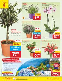 Netto Marken-Discount Prospekt woche 31 Seite 40