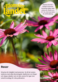 Blomsterlandet reklamblad Sida 1