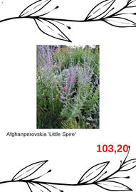 Blomsterlandet reklamblad Sida 2