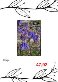 Blomsterlandet reklamblad Sida 3