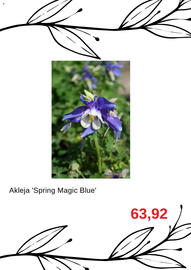 Blomsterlandet reklamblad Sida 4
