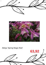 Blomsterlandet reklamblad Sida 5