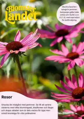 Blomsterlandet reklamblad