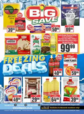 Big Save catalogue