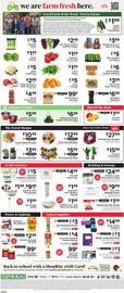 ShopRite Weekly Ad Page 8
