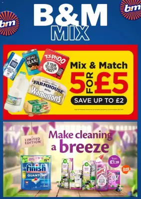 B&M Stores leaflet (valid until 25-08)