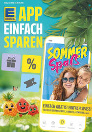 diska Prospekt woche 31 Seite 13