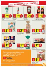 Folleto Consum Página 9