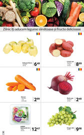 Catalog Selgros săptămâna 30 Pagină 6
