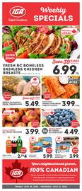 IGA flyer Page 1