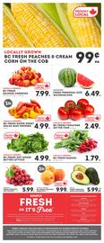 IGA flyer Page 6