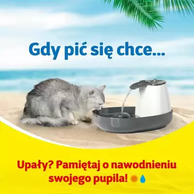 Kakadu gazetka (ważność do 6-08)