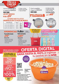 Catálogo Fuller Página 25