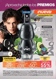 Catálogo Fuller Página 31