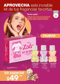 Catálogo Fuller Página 30