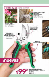 Catálogo Fuller Página 164