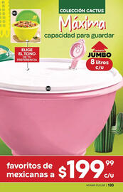 Catálogo Fuller Página 195