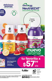 Catálogo Fuller Página 219