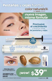 Catálogo Fuller Página 85