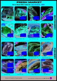 Amber catalogue Page 7