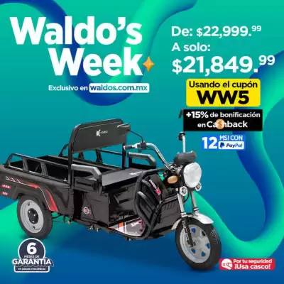 Catálogo Waldos