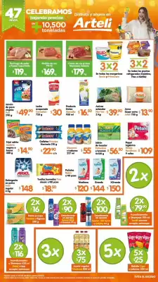 Catálogo Arteli express