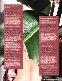Wellness Warehouse catalogue Page 83