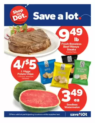 Save a Lot Weekly Ad (valid until 29-07)